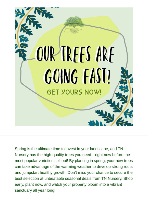 Secure Your Spring Trees Before They’re Gone!