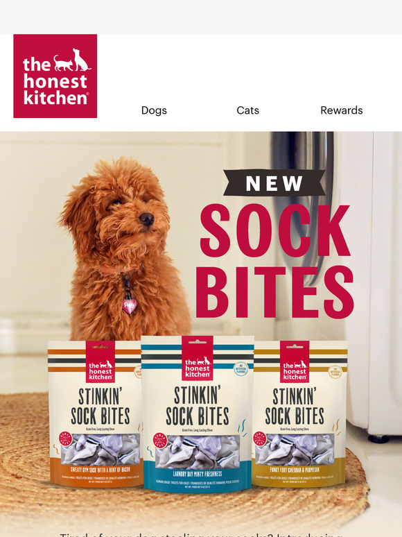 ✨NEW✨ Stinkin' Sock Bites for Your Pup!