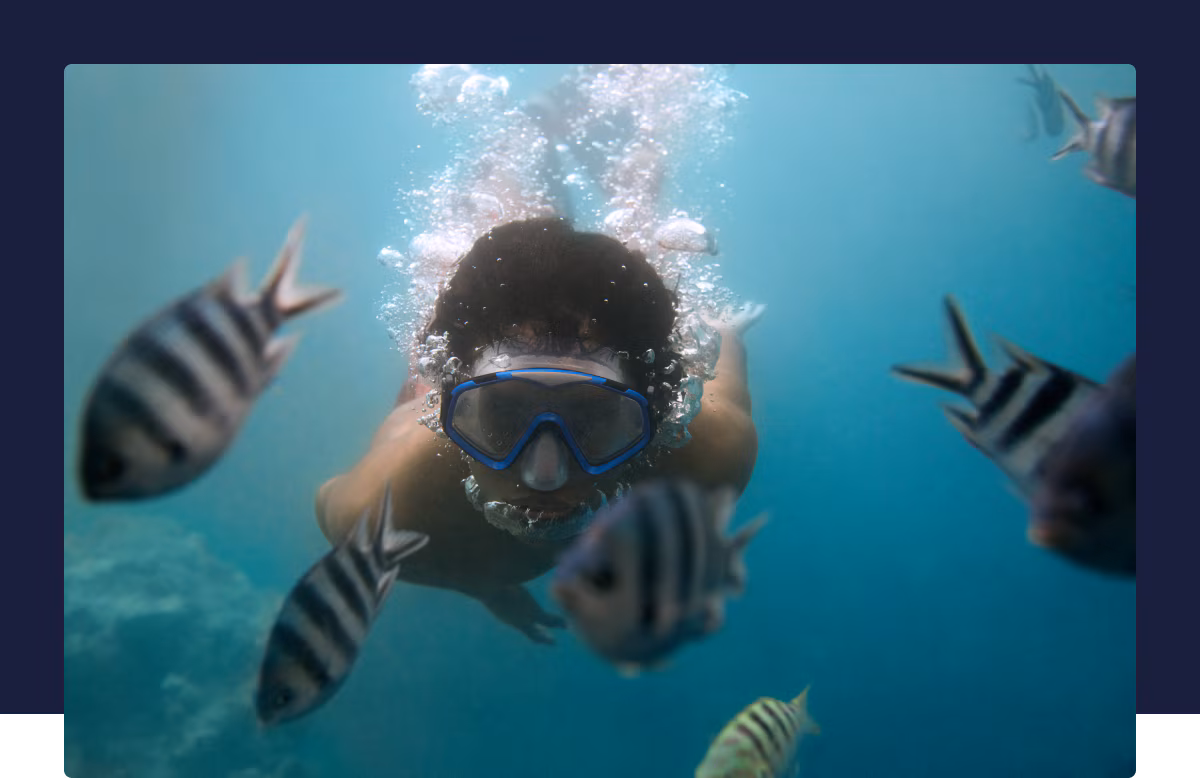 You can save up to £350 when you book your flight and hotel together.