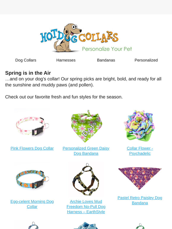 Your Dog’s Spring Look = Upgraded