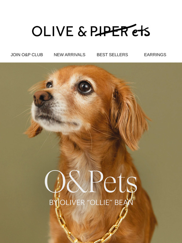 🐾 Introducing O&Pets