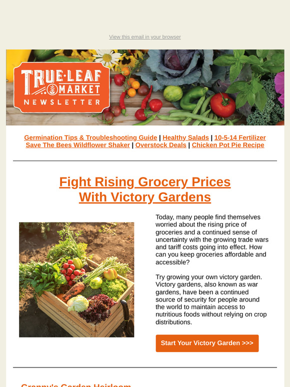 Victory Gardens: A Timeless Solution to Soaring Prices | TLM Newsletter