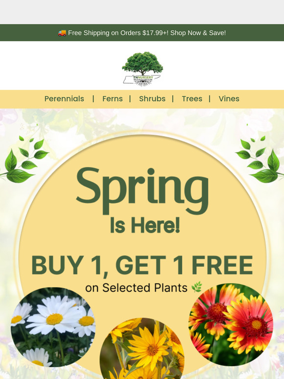🌸 Buy 1, Get 1 FREE – Your Dream Garden Starts Now!