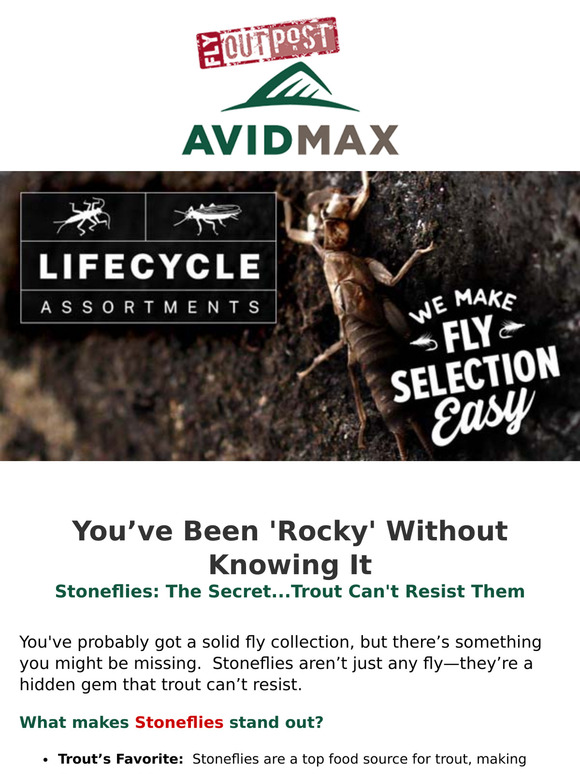 Stoneflies at Crazy Low Prices – While They Last!