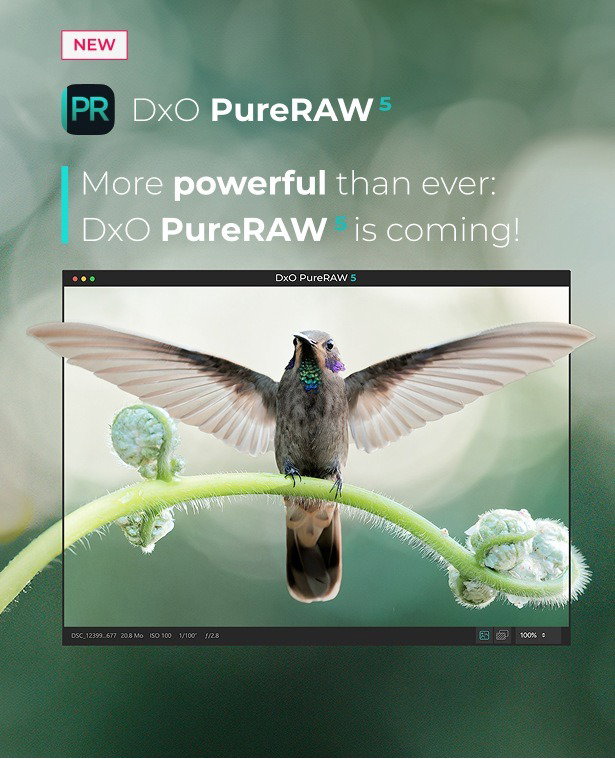 More powerful than ever: DxO PureRAW 5 is coming