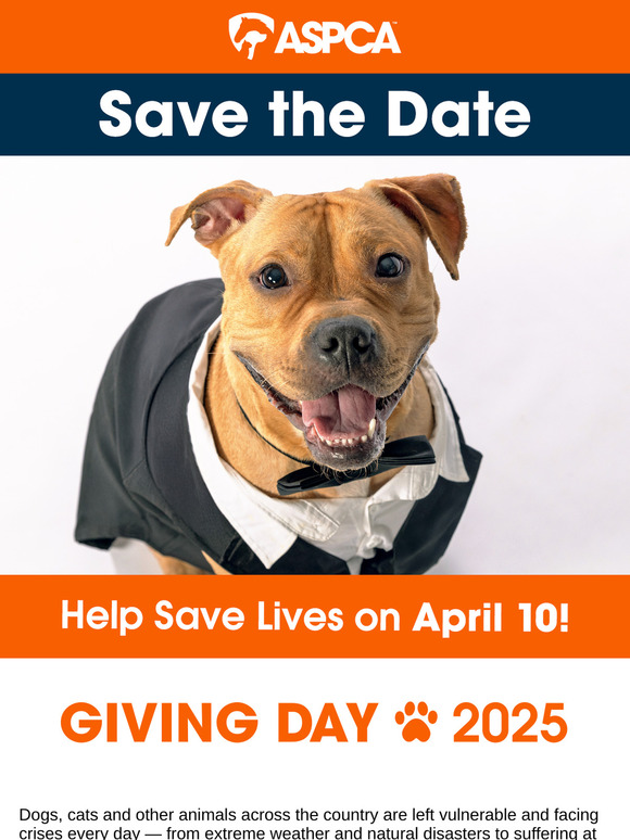 COMING SOON: Giving Day 2025