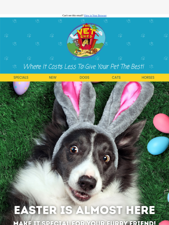 The Easter bunny has a gift for your furry friend! 🐰🥚