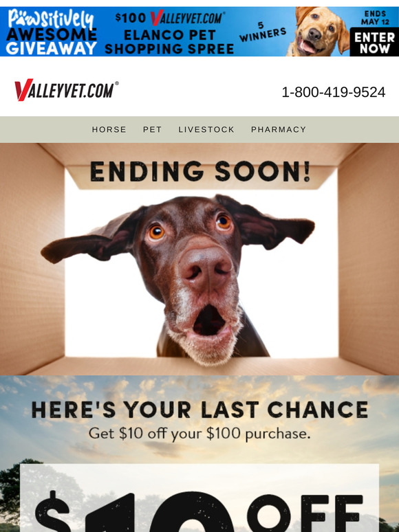 Last Chance: Get $10 off today!