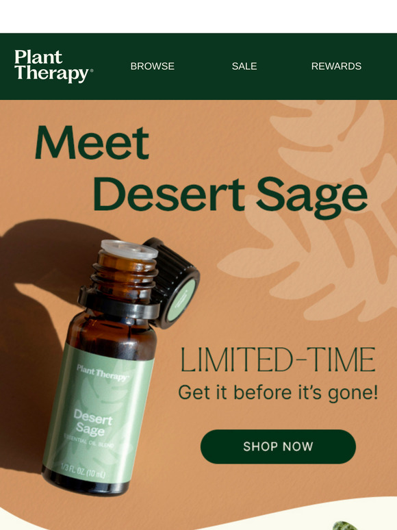Inspired by the Wild: NEW Desert Sage Blend 🌿