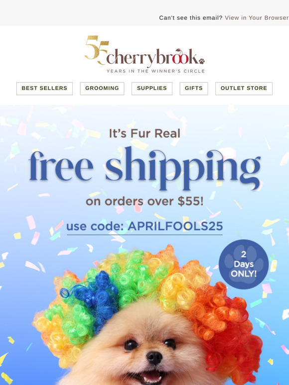 Last Chance To Get Free Shipping ⏰