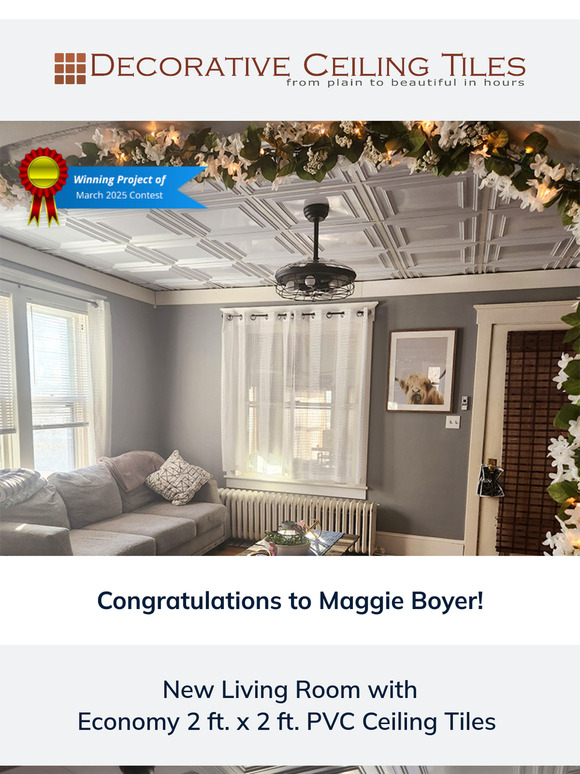 March's Winning Project!🥇