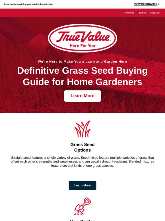 🏠 🌱 Grass Seed Buying Guide for Home Gardeners