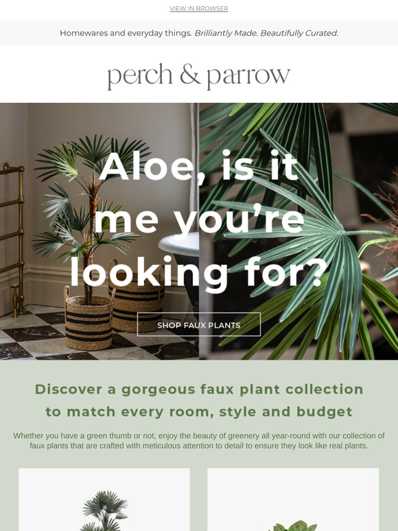 Aloe, is it me you're looking for?