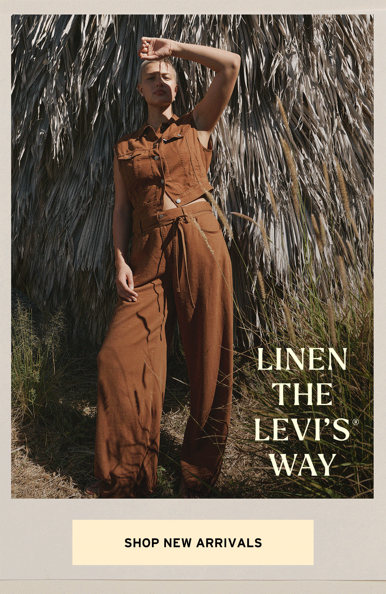 SHOP NEW ARRIVALS