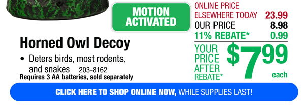 Horned Owl Decoy - Free Shipping To Store!