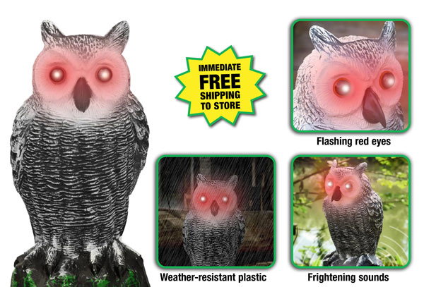 Horned Owl Decoy - ONLY $7.99 After Rebate*!