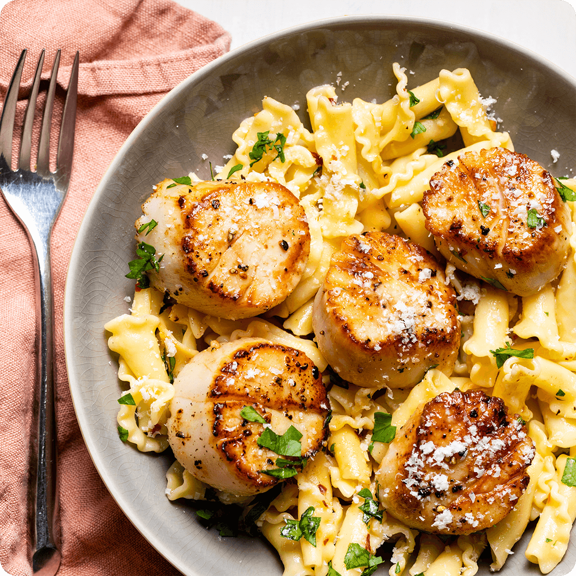 Campanelle with Scallops