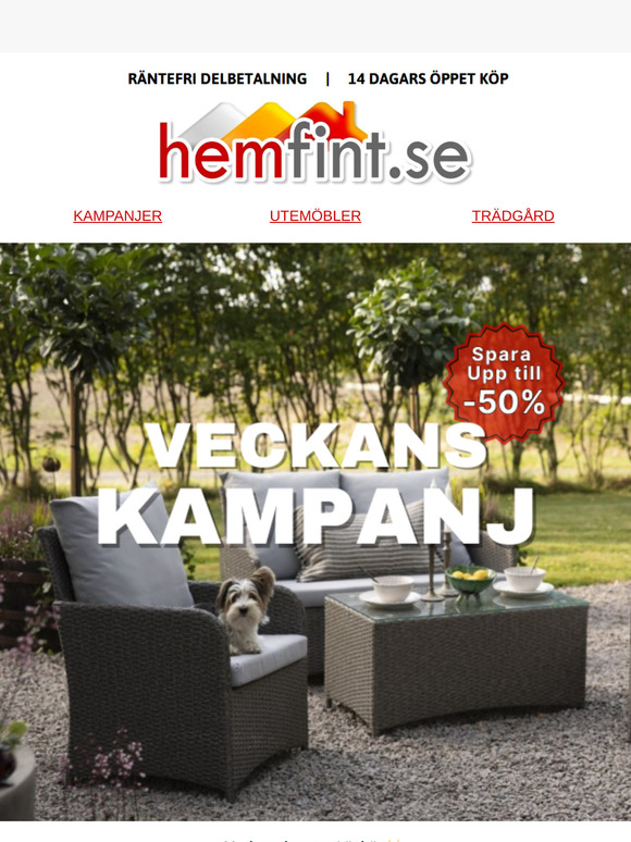 Denna vecka - Utvalda favoriter till ett bättre pris! 🤩