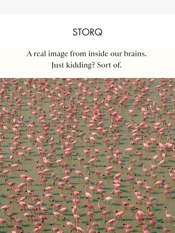 Weekend Edit: A Real Image From Inside Our Brains