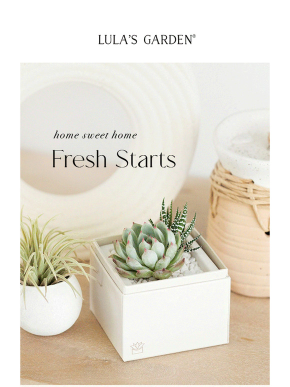 Green Housewarming Gifts For Their New Place! 🏡