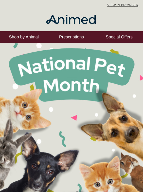 Happy National Pet Month 🐕