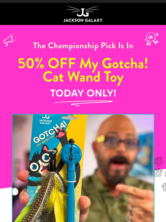 🏆 50% OFF My Gotcha! Cat Wand Toy — today only!