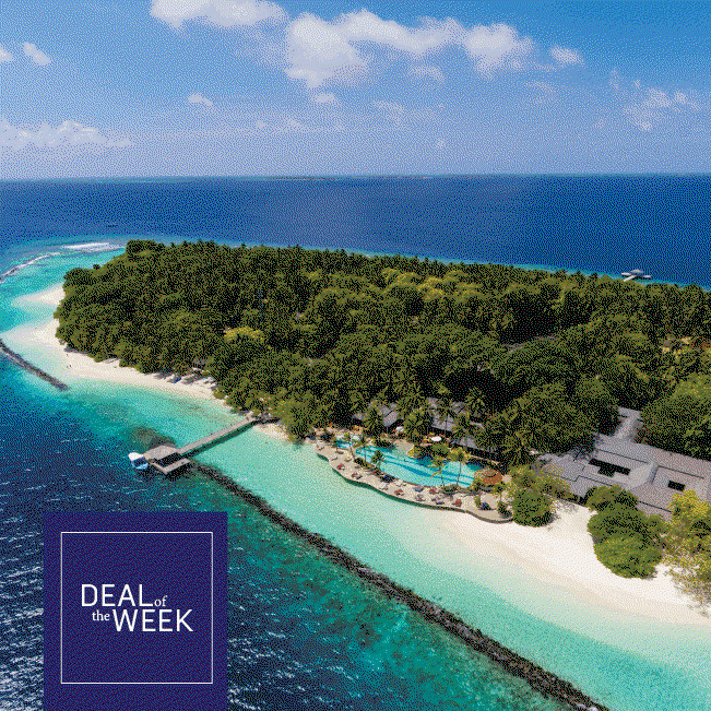 Deal of the Week