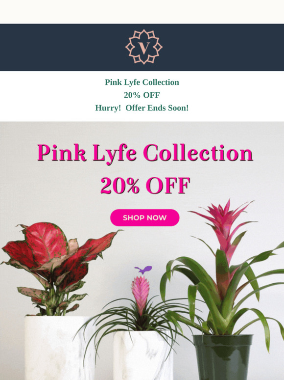 ⏰ Last Chance! 20% OFF Pink Lyfe Collection Ends Tonight!