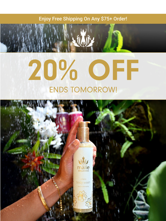 🌺 20% OFF Ends Soon | Your Floral Paradise Awaits