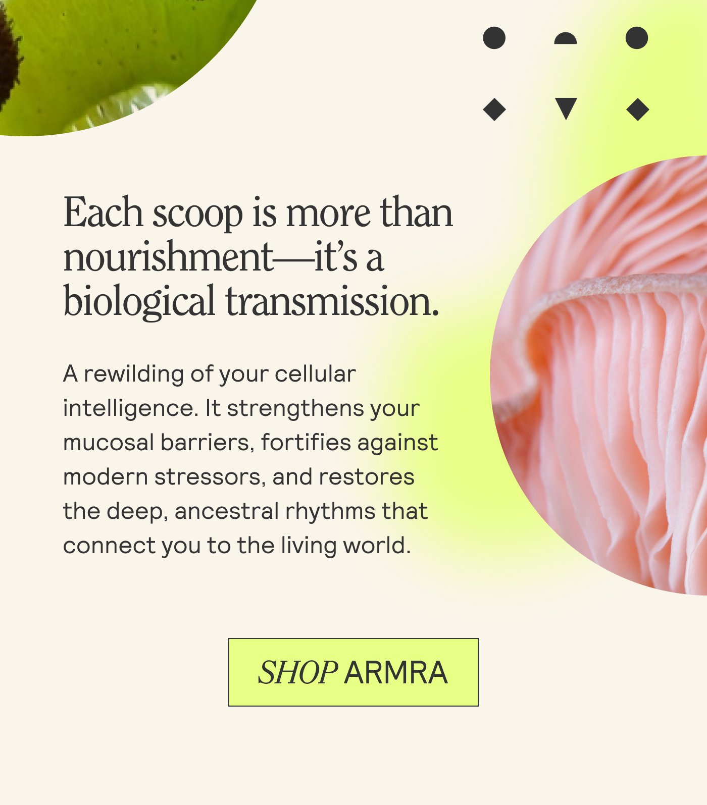 Each scoop is more than nourishment—it’s a biological transmission. A rewilding of your cellular intelligence. It strengthens yo mucosal barriers, fortifies aga modern stressors, and restore  the deep, ancestral rhythms tha connect you to the living world.