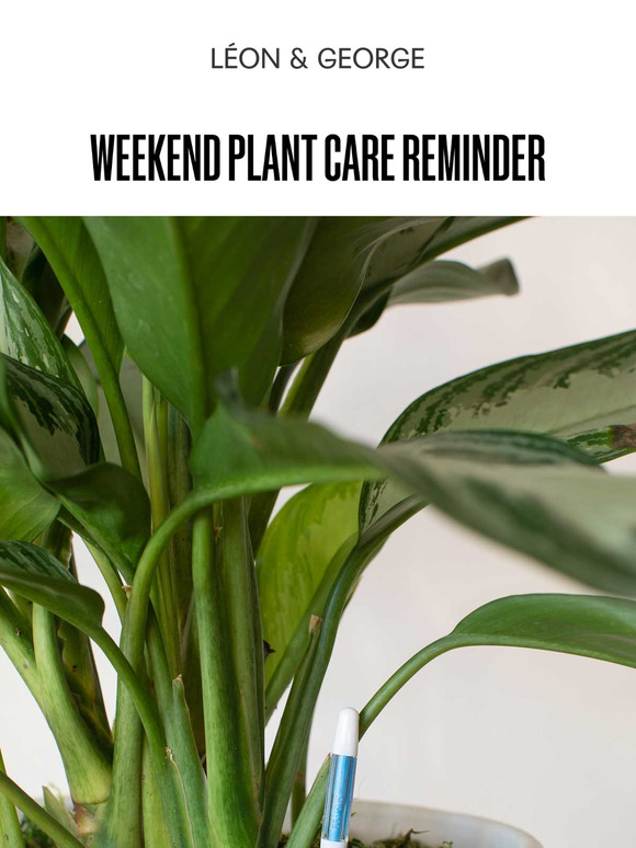 Weekend Plant Care Reminder