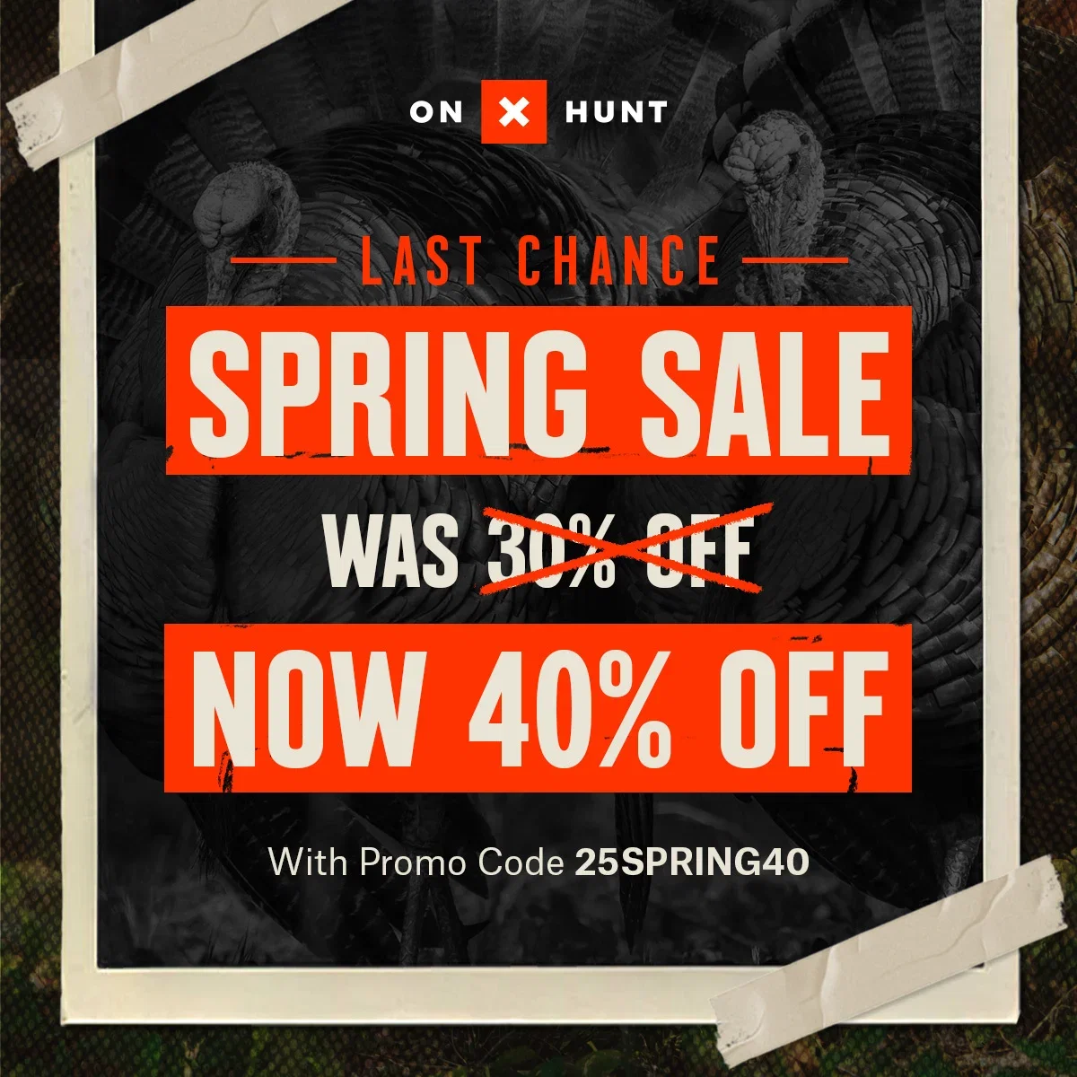 Spring Sale Now 40% Off