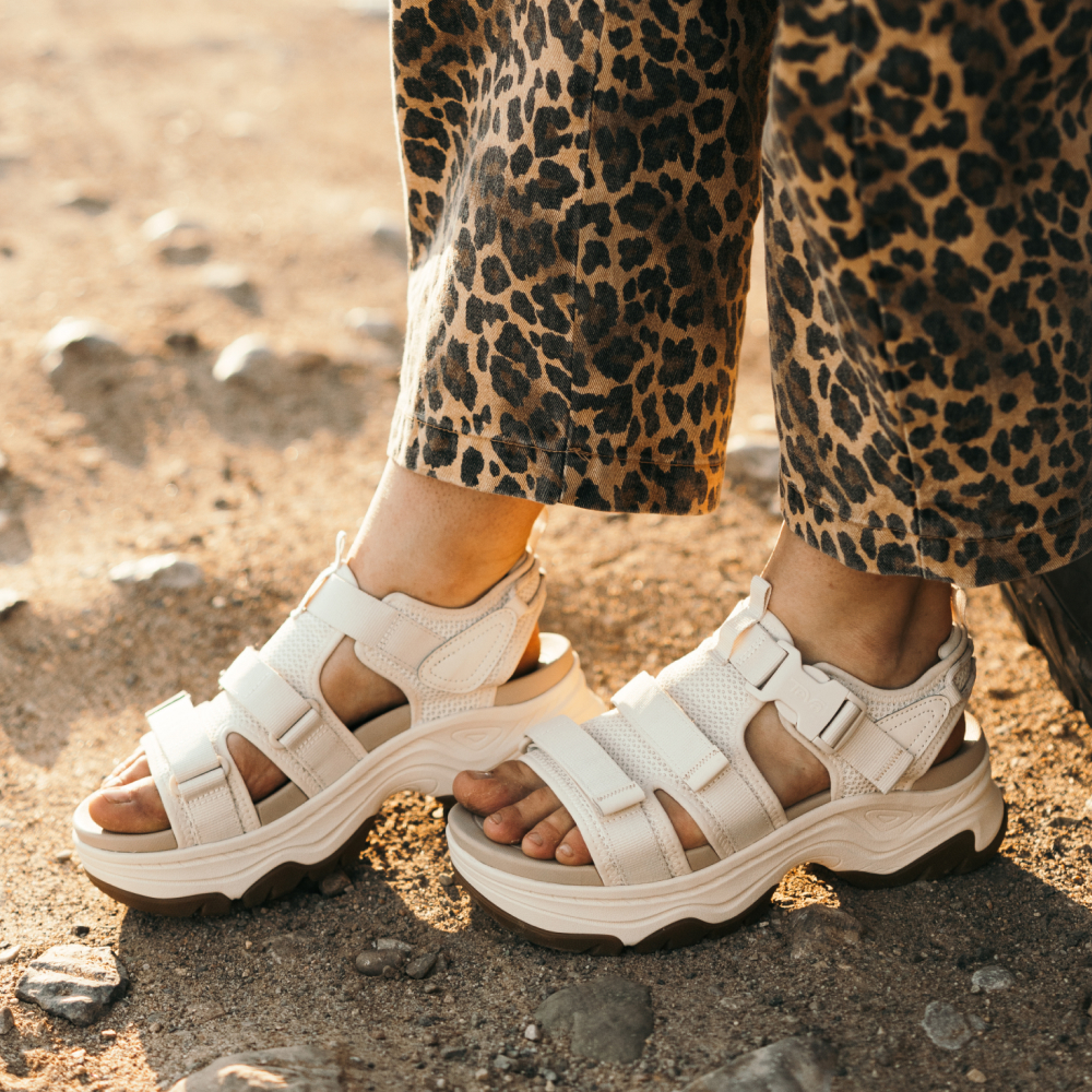 靴 TEVA HURRICANE AMPSOLE GAILA 24cm Teva Women's Hurricane Ampsole Gaila Sandals - PRFO Sports