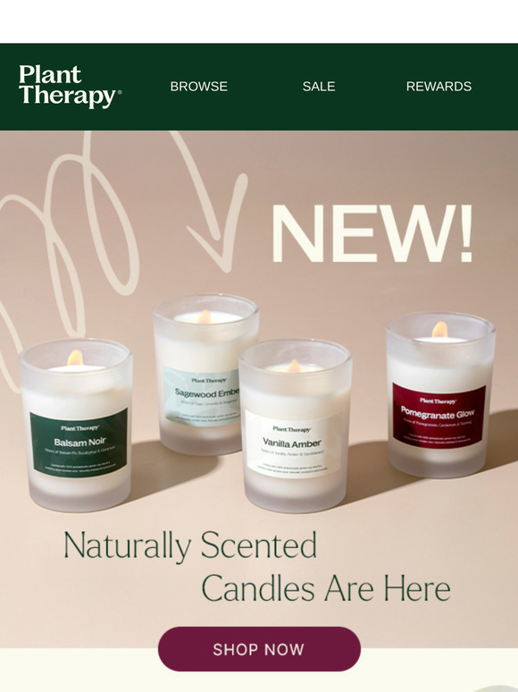NEW: Clean-Burning Candles 🕯️