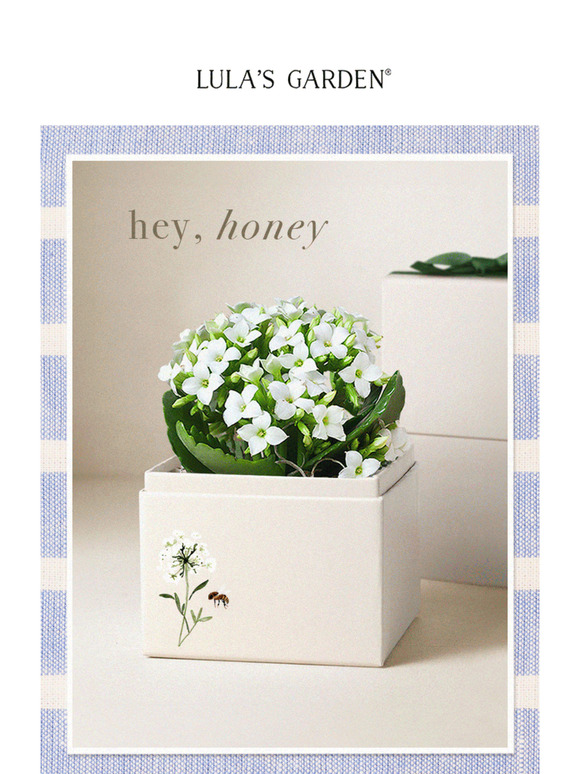 Celebrate Spring With Green Gifts! 🌿
