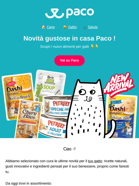 Novità per gatti in arrivo su Paco: tutte da scoprire!
