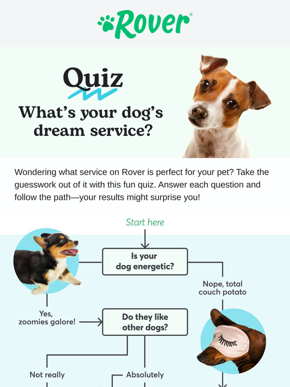 What service is best for your pet?