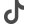 TikTok icon