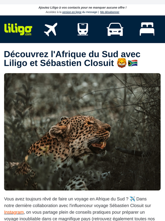 Liligo vous fait voyager en Afrique du Sud ! 😍🇿🇦