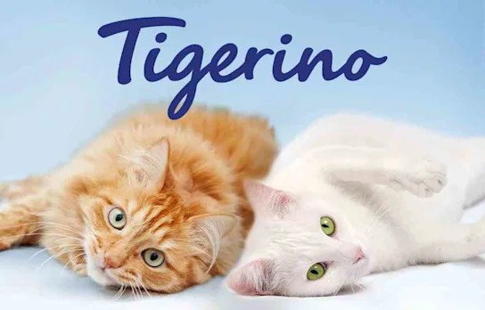 Tigerino