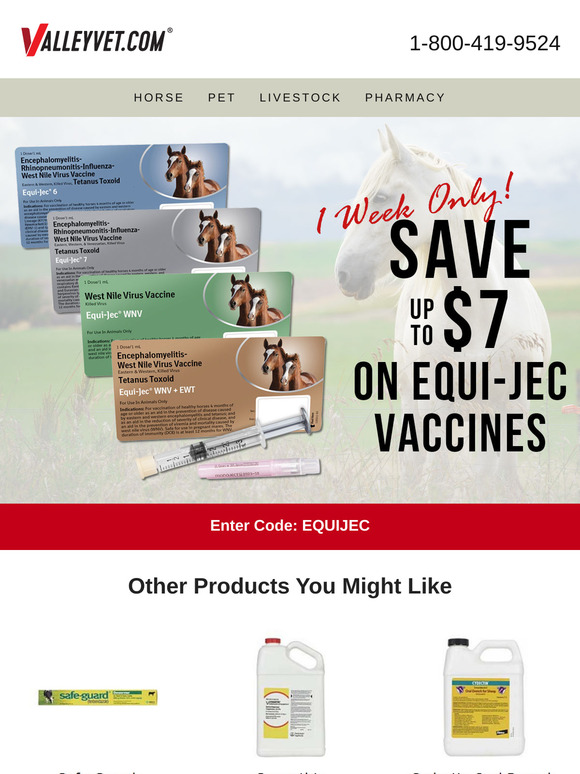 Equi-Jec SALE - 1 week only!