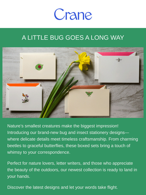 Freshly Landed: Insect Stationery That’s Simply Brilliant