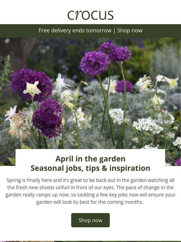 April in the garden: jobs, tips, inspiration ✨