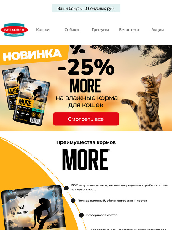 Не пропустите акцию!  🔥 -25% на новинки MORE!