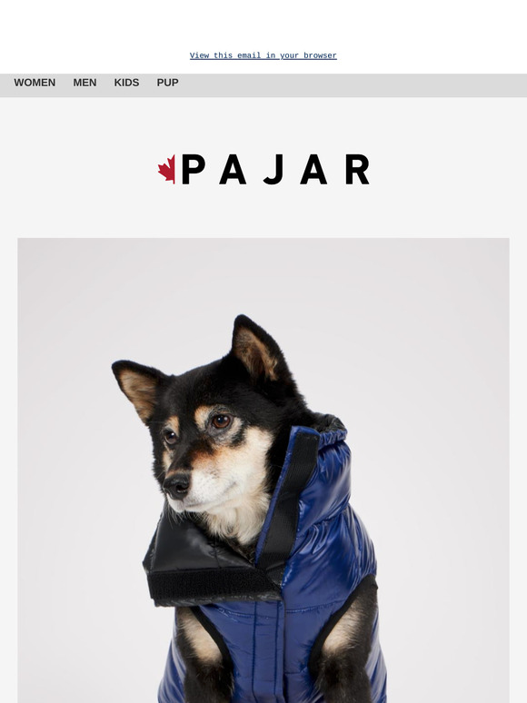 Pups in style, rain or shine