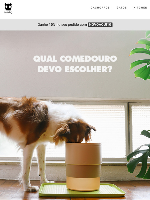 Guia para escolher o comedouro perfeito💡