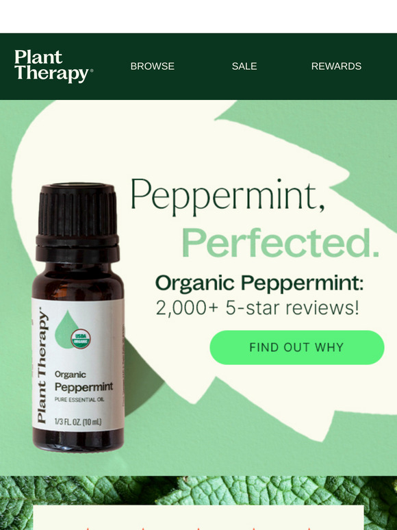 ⭐️⭐️⭐️⭐️⭐️ Over 2,000 5-Star Reviews