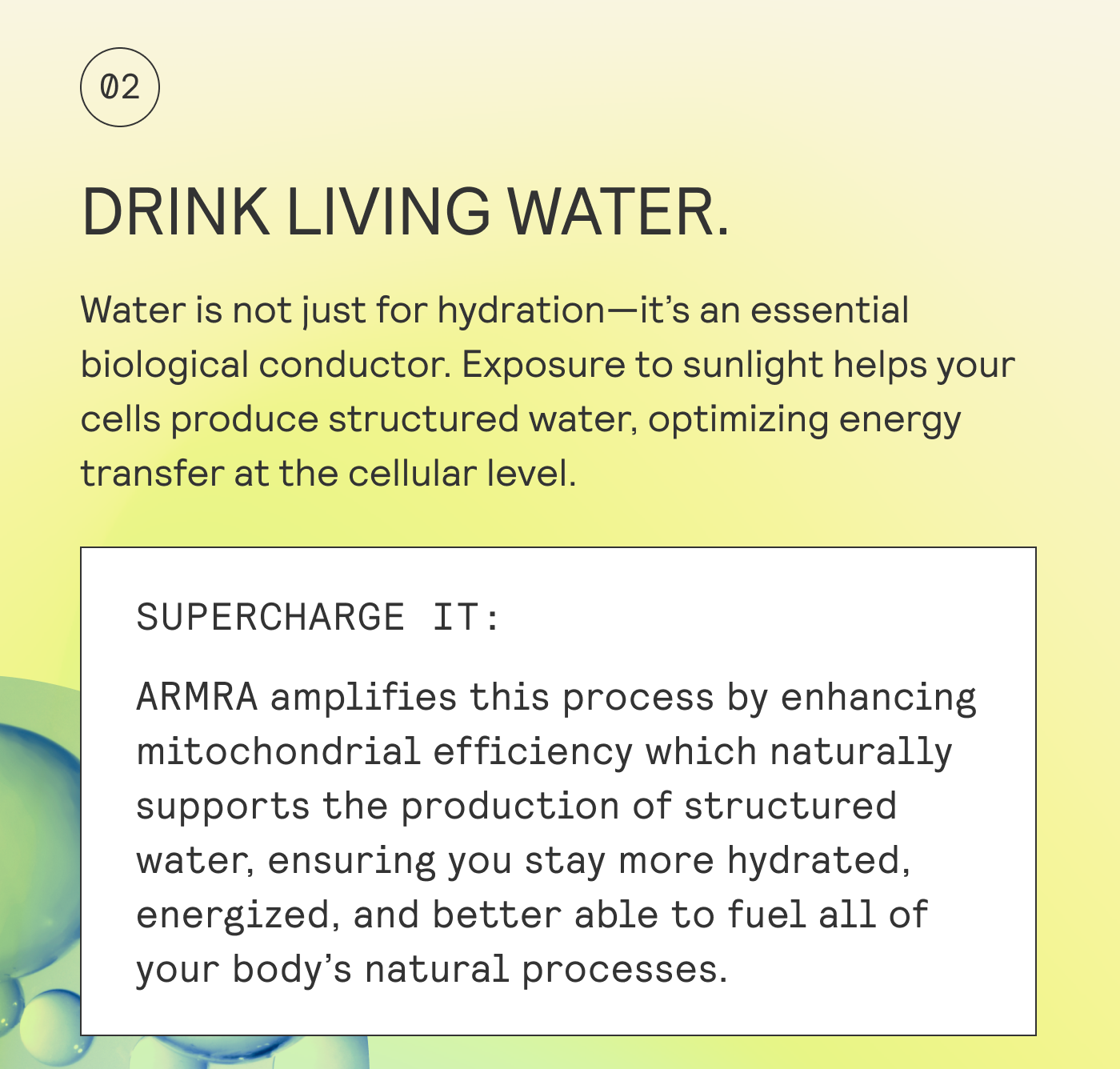 DRINK LIVING WATER.  Water is not just for hydration—it’s an essential biological conductor. Exposure to sunlight helps your cells produce structured water, optimizing energy  transfer at the cellular level. 