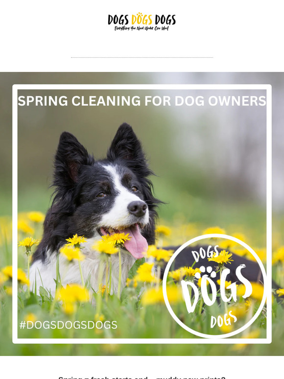 Spring cleaning with a dog? Let's go! 🐾
