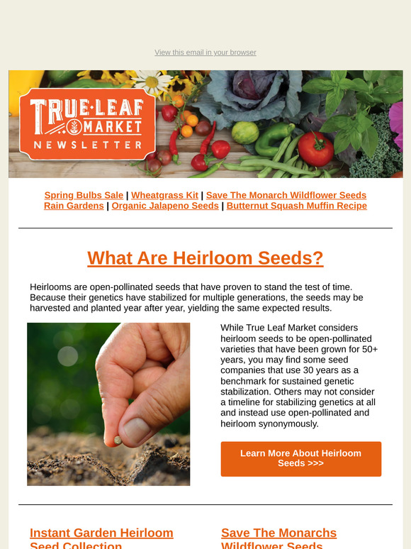 🌱 Growing with Heirlooms: Proven, Open-Pollinated Seeds for Generations | TLM Newsletter